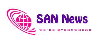 Salary Reporter SANews San_ne11