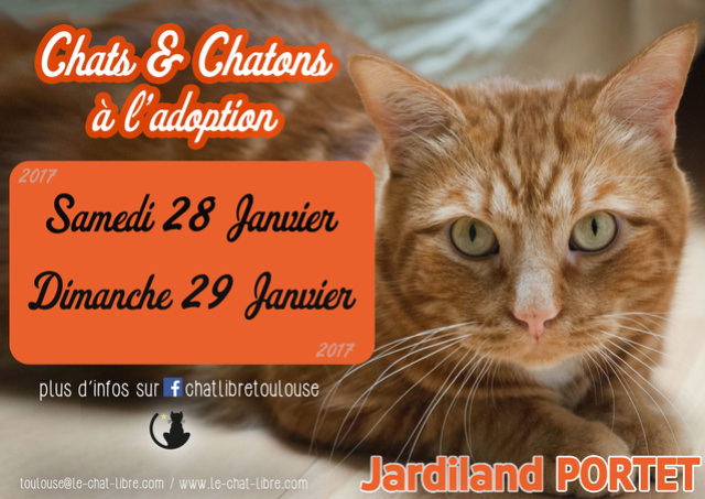 [ Adoptions ] Samedi 28 & dimanche 29 Janvier 2017 : Jardiland Portet Jardil17