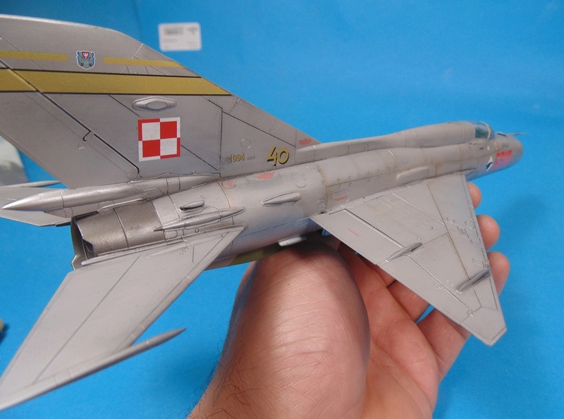 MIg 21 family 1/48 - Page 3 Dsc03736