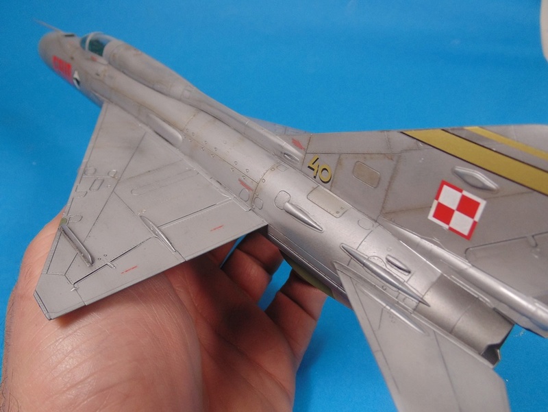 MIg 21 family 1/48 - Page 3 Dsc03738