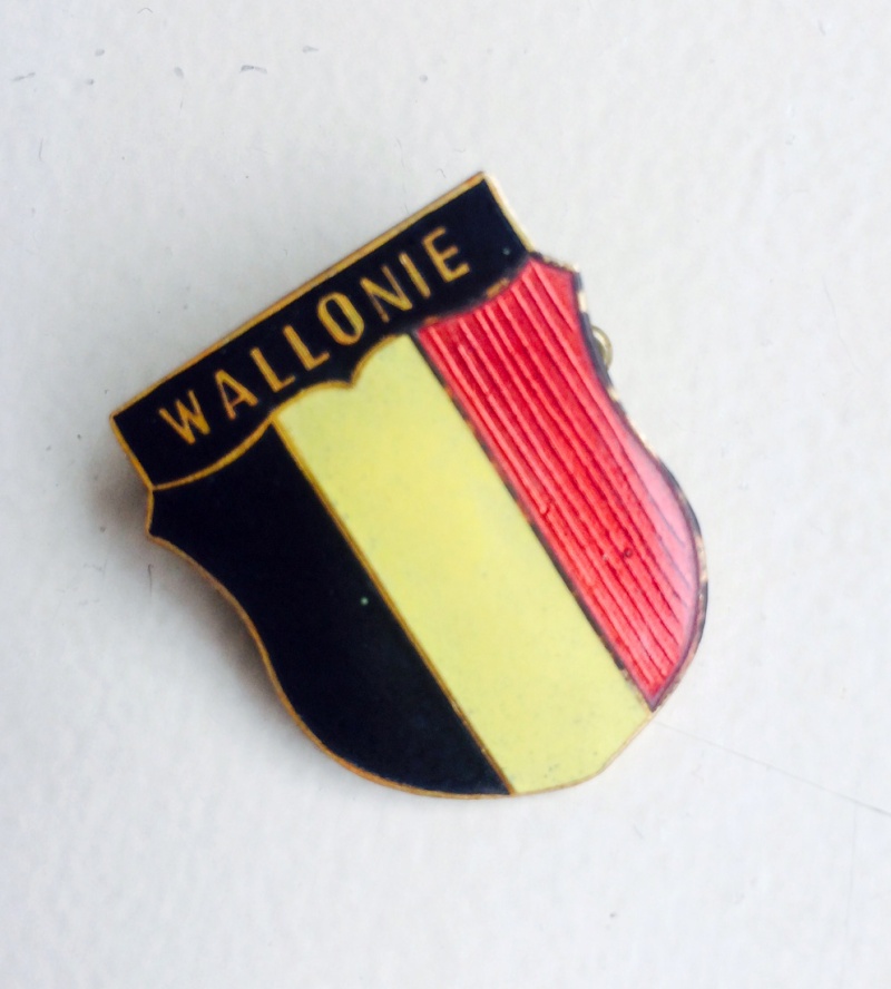 Petit insigne Légion Wallonie Image15