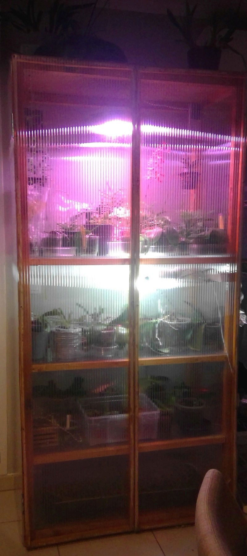 Armoire à orchidée Win_2020