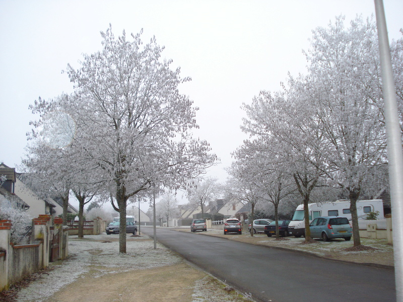 Bonne Année Dsc02210