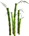 Coupe de bois Bamboo11