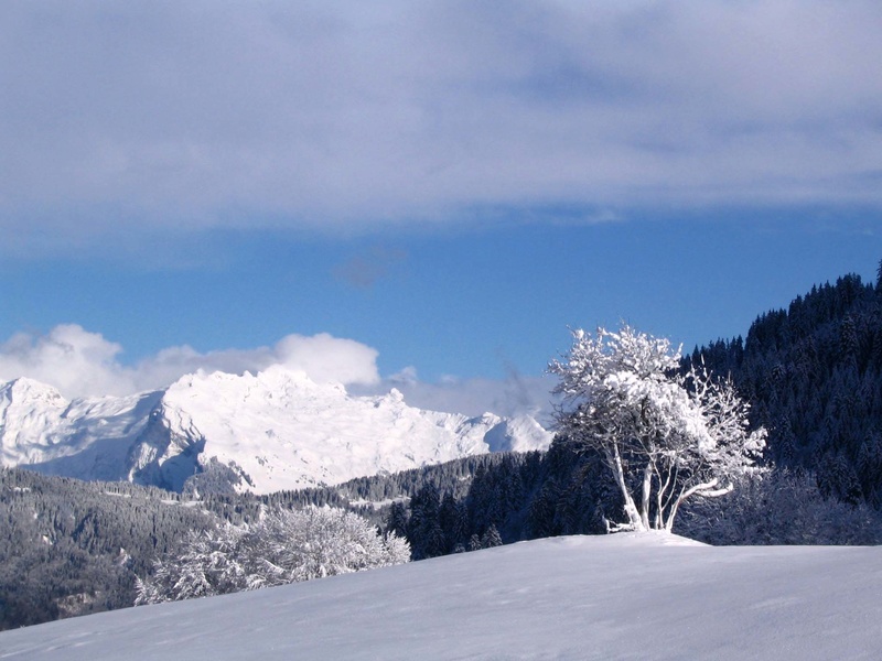 Entre Léman et Mont-Blanc Noel_c14