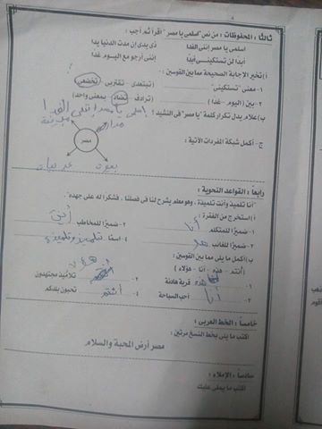 محافظة الدقهلية: امتحانات الميدترم لغة عربية الصف الرابع الابتدائي ترم اول 1410