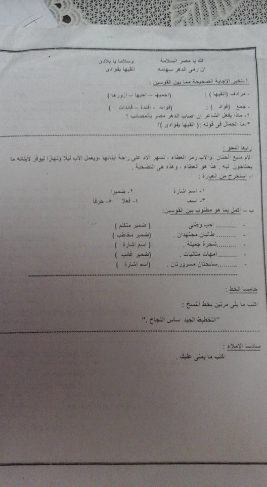 محافظة الجيزة: امتحان الميدترم لغة عربية الصف الرابع ترم اول  221