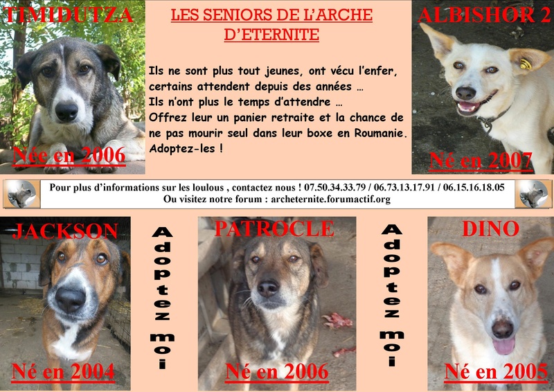Journée Internationale de mobilisation contre le massacre des chiens roumains - 17 mai 2014 Affich12