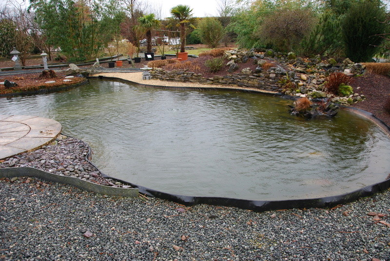 Visite de parcs, jardins aquatiques et professionnels du bassin  Dsc_0222