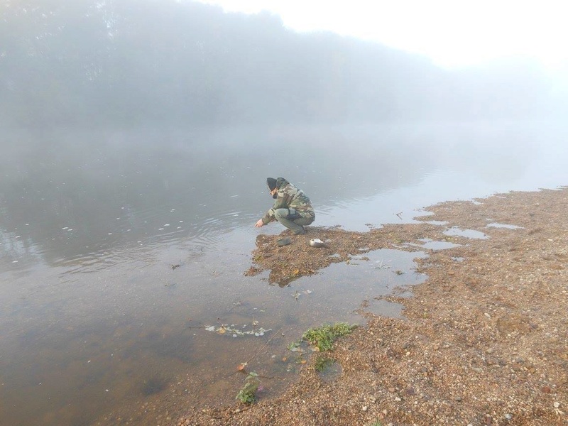 Bivouac Bushcraft du 30/10/2016 2710