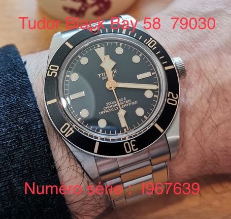 Tudor Blackbay 58 79030 Tudor10