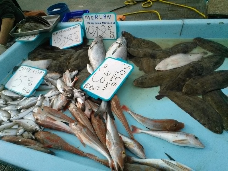 le marché a poissons d'ajaccio Wp_20129