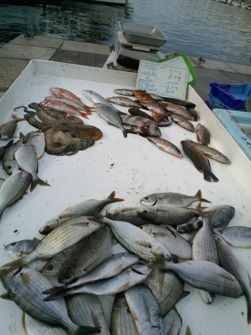 le marché a poissons d'ajaccio Wp_20130