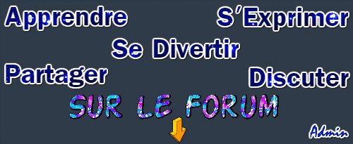 Parler français en Algérie et ailleurs 