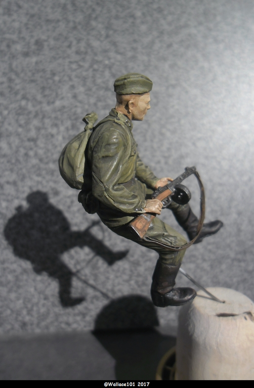 Soviet soldiers riders Miniart 1/35  terminées - Page 3 Sam_0925