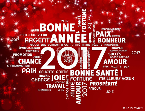 2017 - Voeux 2017 500_f_10