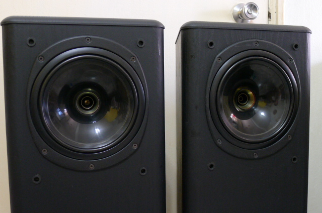 Tannoy 635 D50 Dual Concentric Floor Standing Speakers (Used) SOLD P1130416