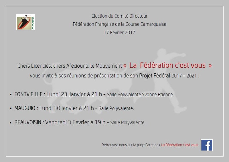 Réunion d'information du projet " La fédération c'est vous " Ryunio10