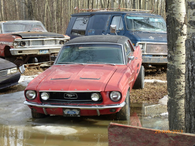 D'autre photos d'épave de Mustang 1967 1968 P1000411