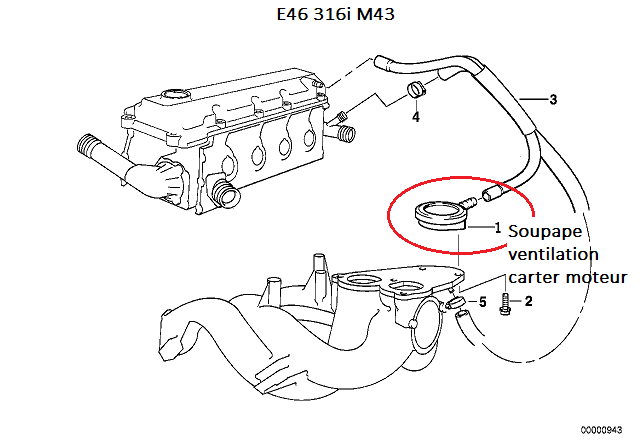 [ bmw e46 316i 1.9L M43  an 2001 ] Trous à l'accélération 11_m4310