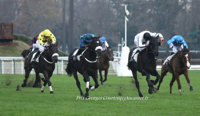 Photos Auteuil 27-11-2016 5j6a2916