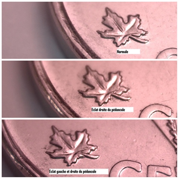 2005P - V,  Éclat de Coin, dans Feuille & 45 (Die Chip) 5_cent39