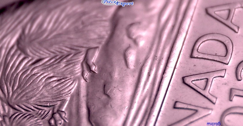 2013 - Éclat de Coin Dos Castor & Griffe Add. Patte Arrière (Extra Claw) Cpe_i292