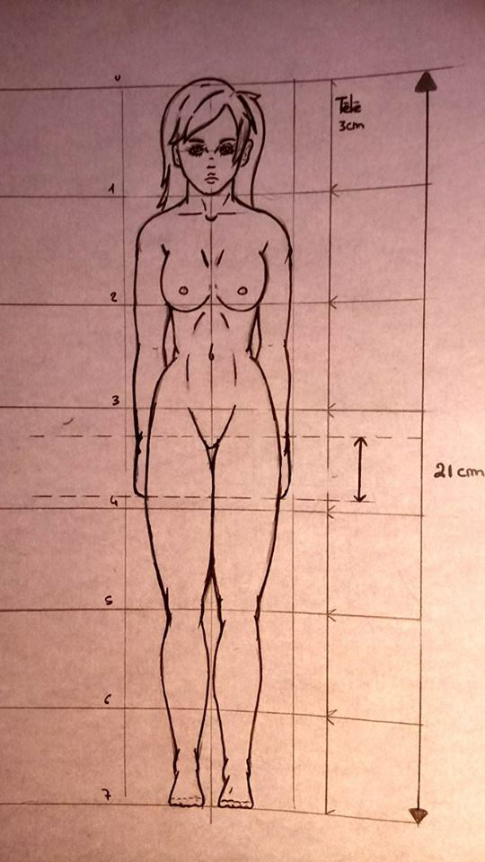 Proportions : Science figée ou interprétation libre ? 16176210