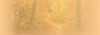 Pas de nouveaux messages Pas de nouveaux messages