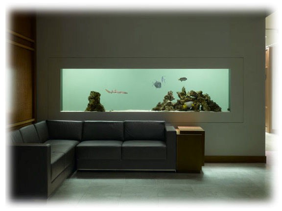 Nouveau projet  Aquarium Aquari10