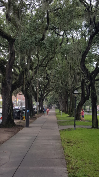 Tampa - Savannah - St Augustine - Orlando - Aout 2016 20160829