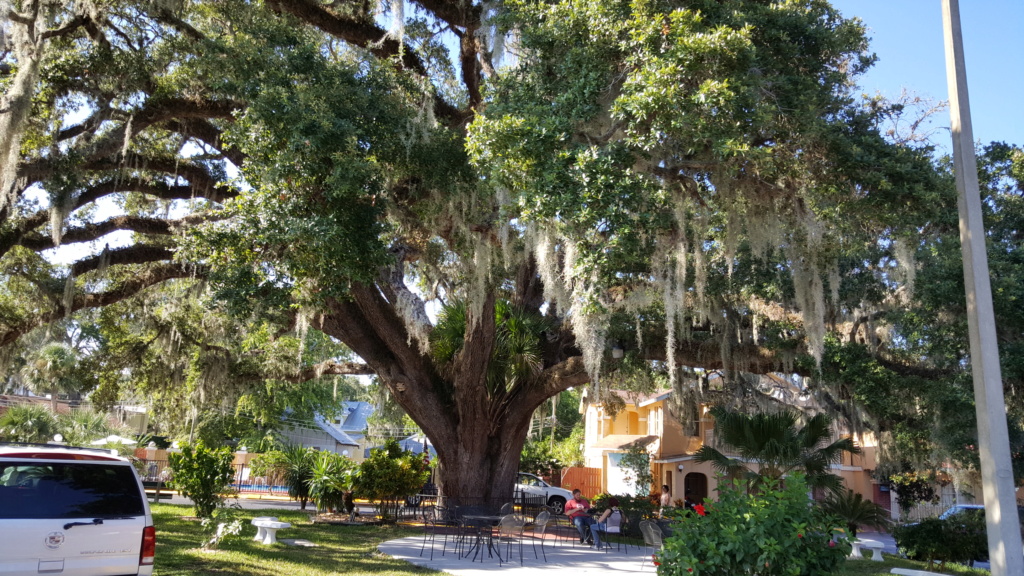 Tampa - Savannah - St Augustine - Orlando - Aout 2016 20160834
