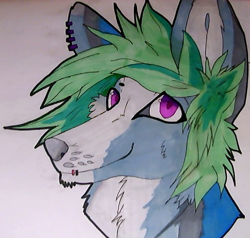 Projet Furry Promarker Furry110