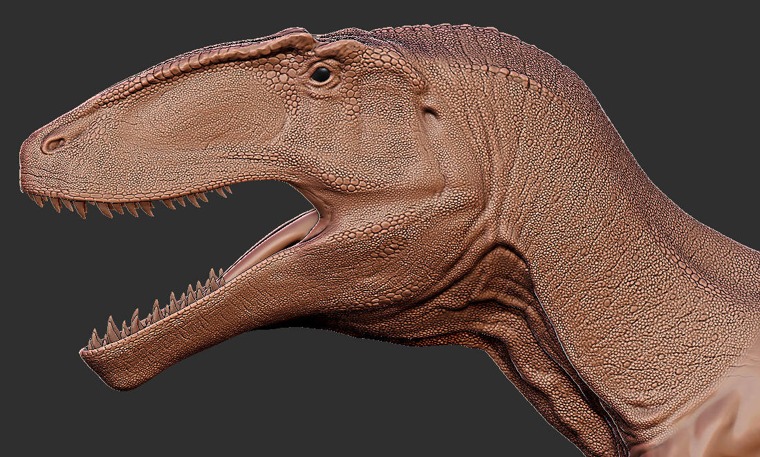 Carcharodontosaurus 3D Head Model Carcha10