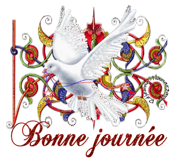 Cairns de Janvier 2017 - Page 5 1dc93b12