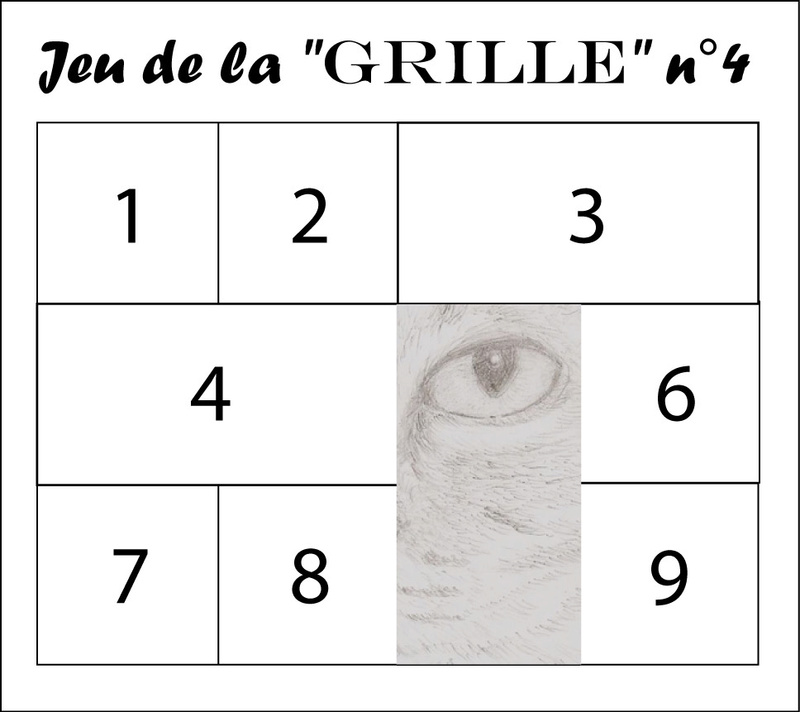 [Terminé] Jeu de la grille n°4 Grille11