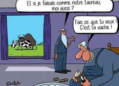 HUMOUR - blagues - Page 4 15977010