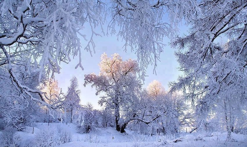 Zimski pejzaži-Winter landscapes - Page 7 15017810