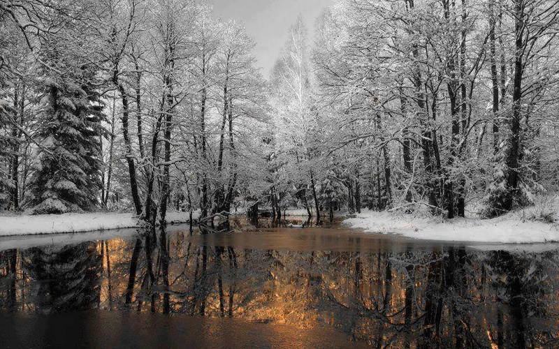 Zimski pejzaži-Winter landscapes - Page 7 15181510