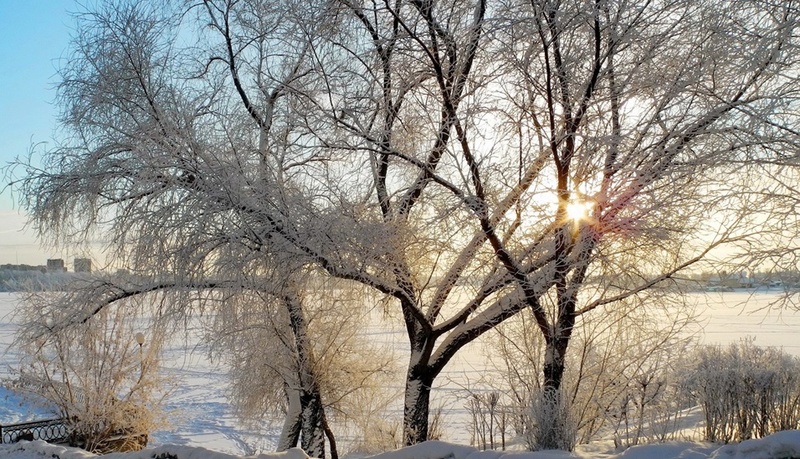 Zimski pejzaži-Winter landscapes - Page 7 Winter43