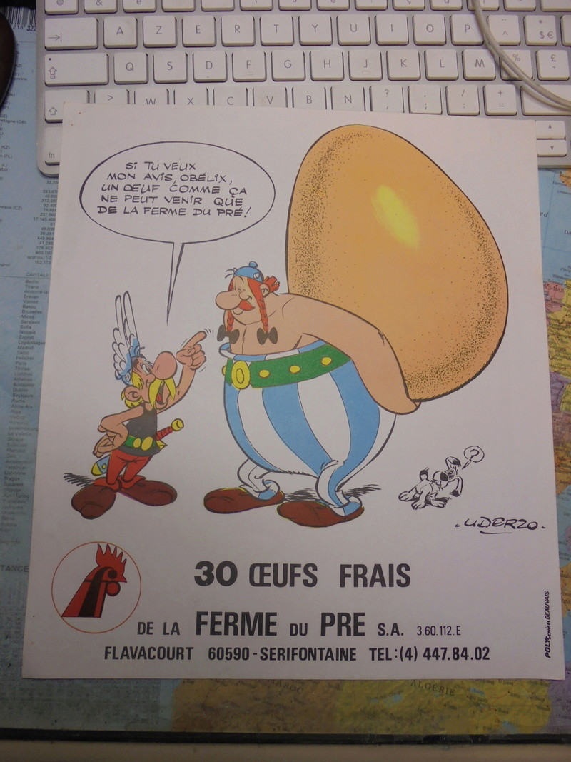  asterix échiquier - Page 30 Dsc02543