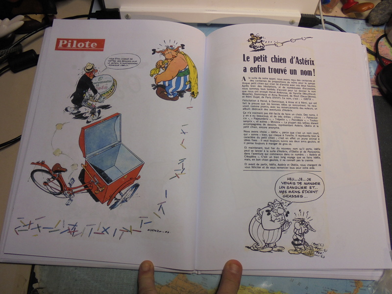  asterix échiquier - Page 32 Dsc02579