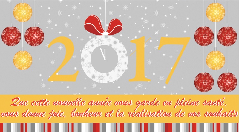 Voeux pour 2017 - Page 2 Bonne_13