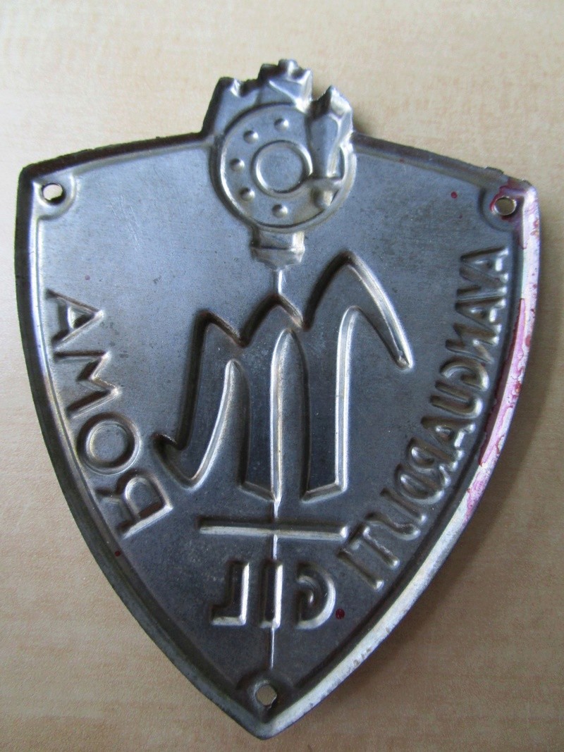 [Italien] Croix du mérite organisation de jeunesse, plaque de bras, pièces Img_0312