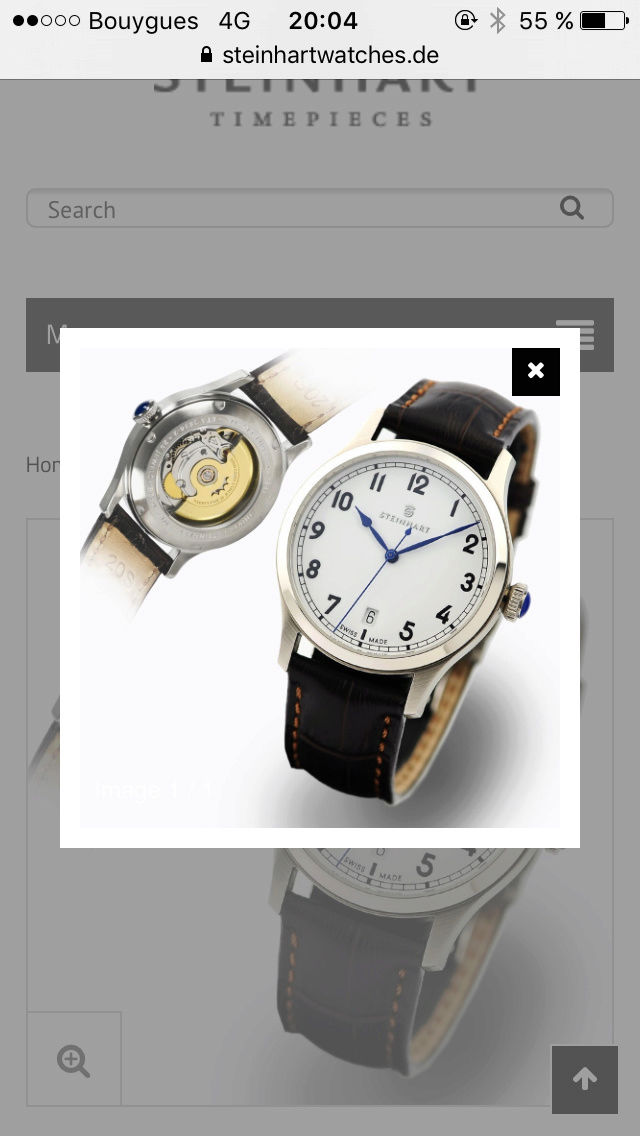 Steinhart VS Hamilton Image11