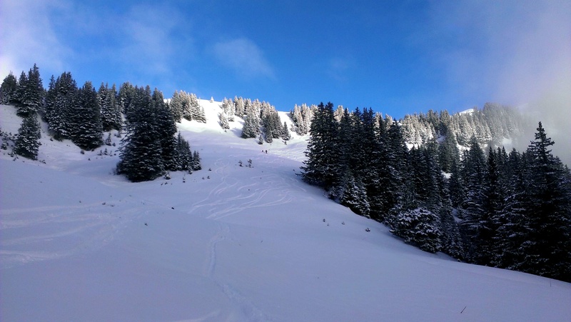 Sortie TOUS NIVEAUX à "Lauenen" 7-8 janvier 2017 Cr1012