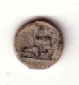  Rare pour identifier ... Petit bronze au Rostre et au Capricorne (Forum Julii, Fréjus) Empo12