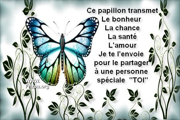 citations celebres et citations images ou pas - Page 10 Ce_pap10