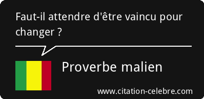 citations celebres et citations images ou pas - Page 14 Citat200