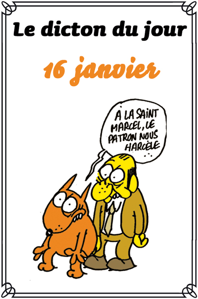 dicton du jour et dicton humour de colette - Page 9 Dicton43